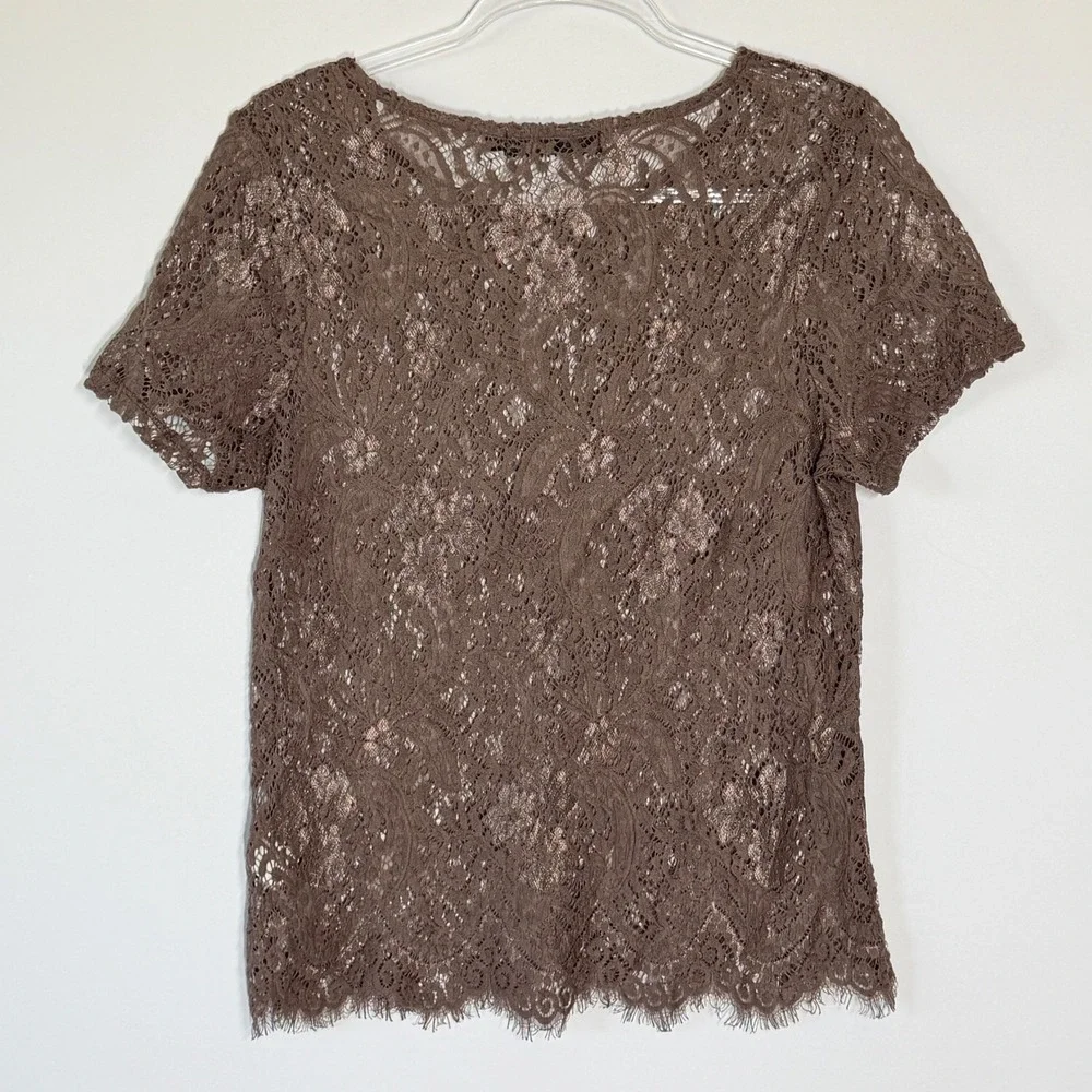 BKE Boutique Brown Lace Short Sleeve Sheer Top BTQM46071 Womens Large Boho Chic - Picture 9 of 9